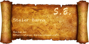 Steier Barna névjegykártya