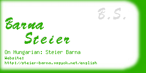 barna steier business card